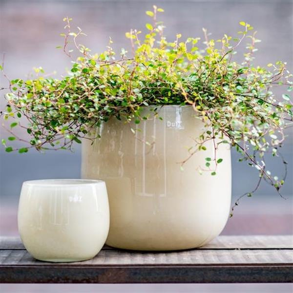 Grote foto pot beige h14xd16 cm huis en inrichting woningdecoratie