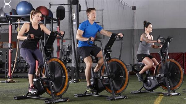 Grote foto octane fitness airdyne adx sport en fitness fitness