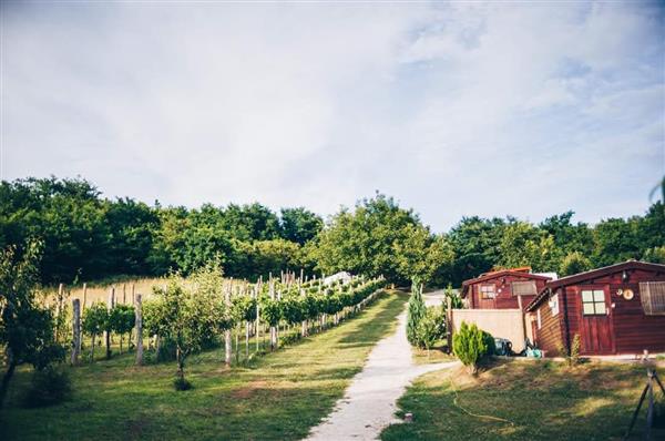Grote foto dutchhill kleinschalig en midden in de natuur vakantie hongarije