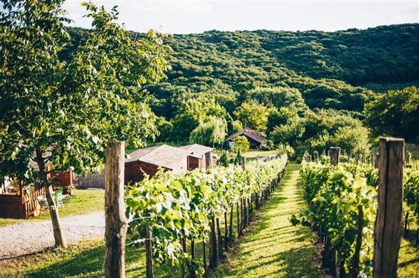Grote foto dutchhill kleinschalig en midden in de natuur vakantie hongarije