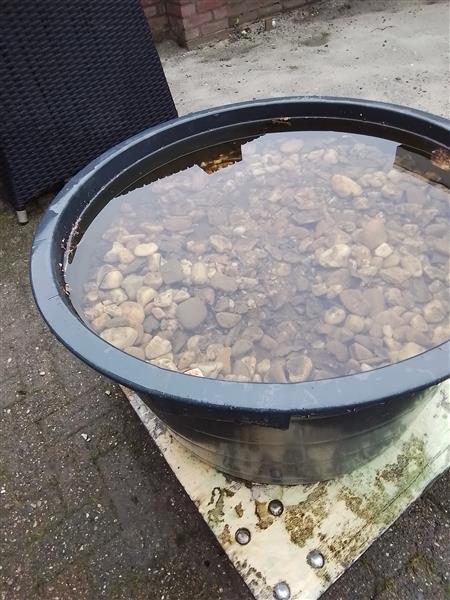Grote foto kiezelstenen tuin en terras tuindecoratie