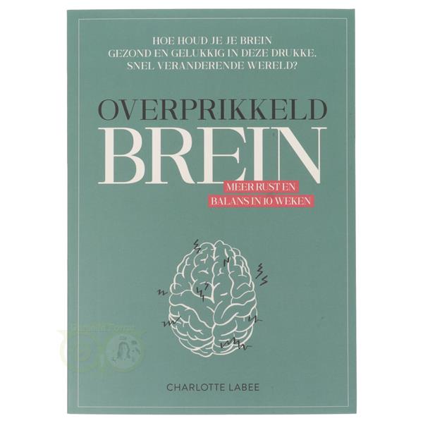 Grote foto overprikkeld brein charlotte labee boeken overige boeken