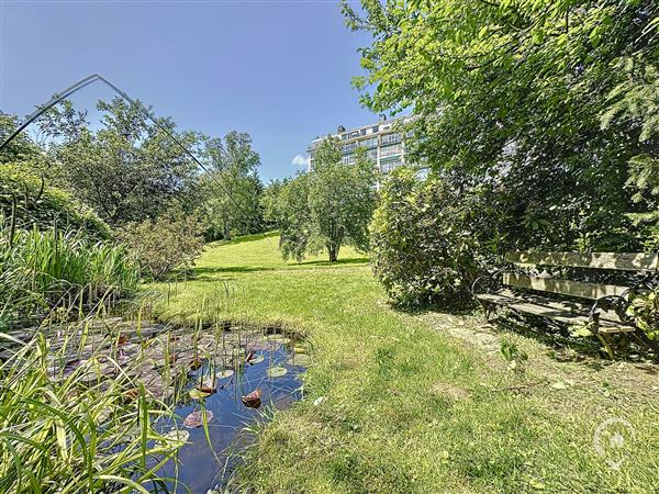 Grote foto nassogne vos agences vastgoed in de ardennen huizen en kamers appartementen en flats