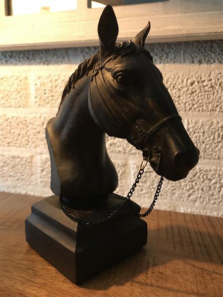 Grote foto beeld paardenhoofd met teugels polystone tuin en terras tuindecoratie