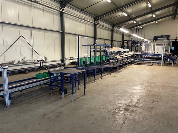 Grote foto koat weegsysteem voor trostomaten inclusief palletiseerder agrarisch tuinbouw