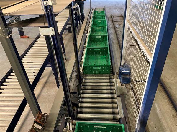 Grote foto koat weegsysteem voor trostomaten inclusief palletiseerder agrarisch tuinbouw
