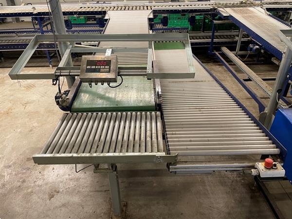 Grote foto koat weegsysteem voor trostomaten inclusief palletiseerder agrarisch tuinbouw