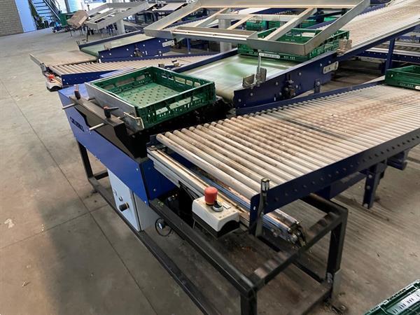 Grote foto koat weegsysteem voor trostomaten inclusief palletiseerder agrarisch tuinbouw