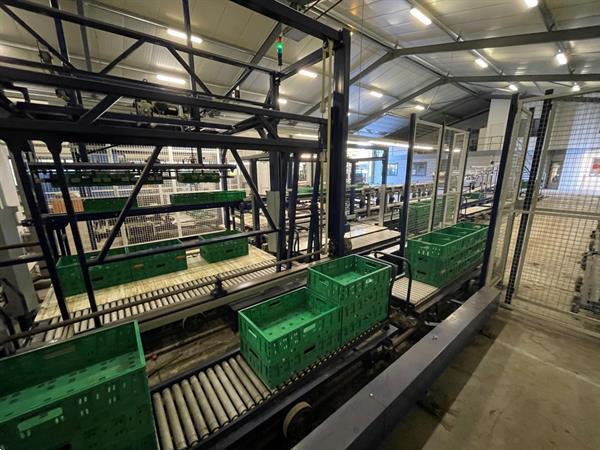 Grote foto koat weegsysteem voor trostomaten inclusief palletiseerder agrarisch tuinbouw