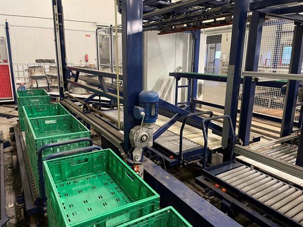 Grote foto koat weegsysteem voor trostomaten inclusief palletiseerder agrarisch tuinbouw