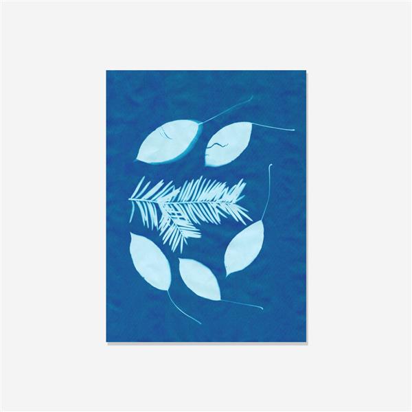 Grote foto solar cyanotype fotopapier 20 vel 19x14cm kinderen en baby overige