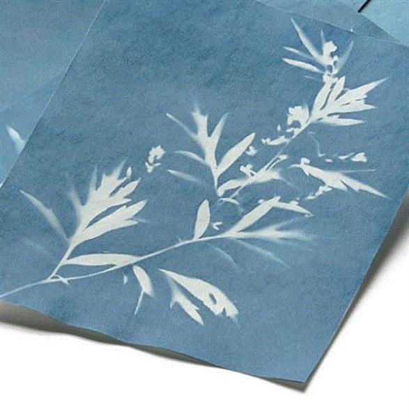Grote foto solar cyanotype fotopapier 20 vel 19x14cm kinderen en baby overige