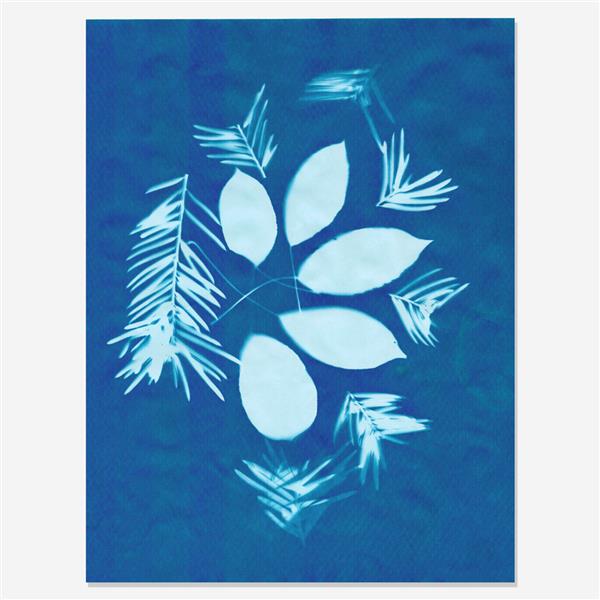 Grote foto solar cyanotype fotopapier 10 vel 28x21 5cm kinderen en baby overige