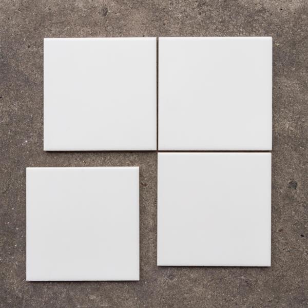 Grote foto steenbok wand 18900 white glossy 13x13cm partij van 4 39 m doe het zelf en verbouw tegels