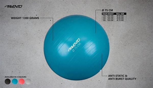 Grote foto avento fitness gymbal 75 cm zwart sport en fitness fitness