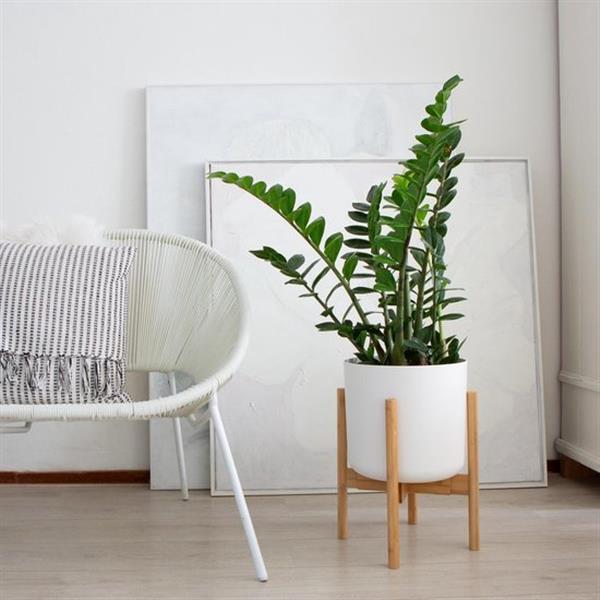 Grote foto lifegoods bamboe uitschuifbare plant houder huis en inrichting woningdecoratie