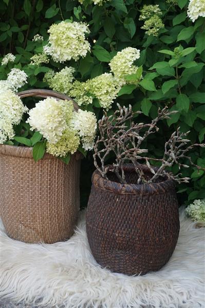Grote foto vismand oud riet vergrijsd l36 x b31 cm huis en inrichting woningdecoratie