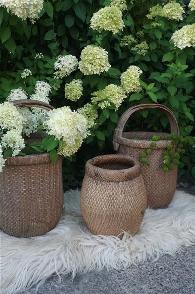 Grote foto vismand oud riet vergrijsd l40 x b28 cm huis en inrichting woningdecoratie