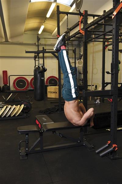 Grote foto toorx fitness wbx 200 trainingsbank 320 kg sport en fitness fitness