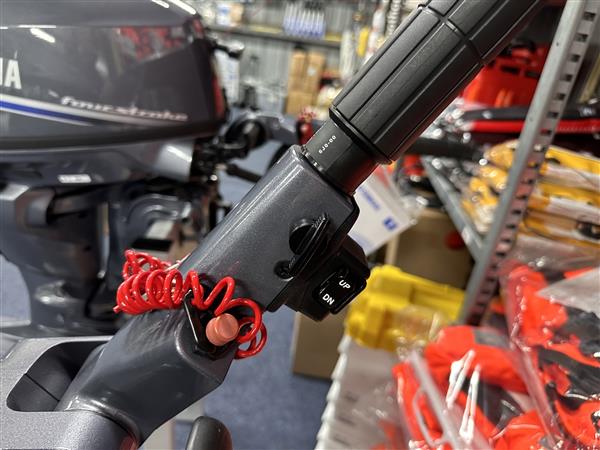 Grote foto yamaha buitenboordmotor nieuw f15 cehpl unieke motor watersport en boten buiten en binnenboordmotoren