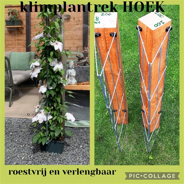 Grote foto plantrekken verticale tuin klimplanten klimrek tuin en terras hekken en schuttingen