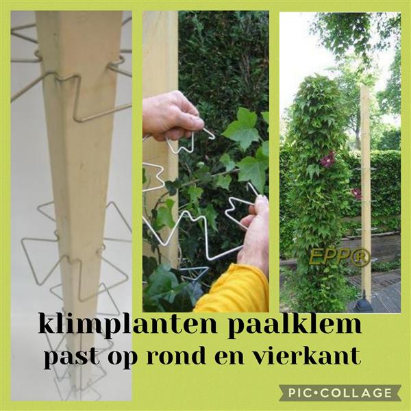 Grote foto plantrekken verticale tuin klimplanten klimrek tuin en terras hekken en schuttingen