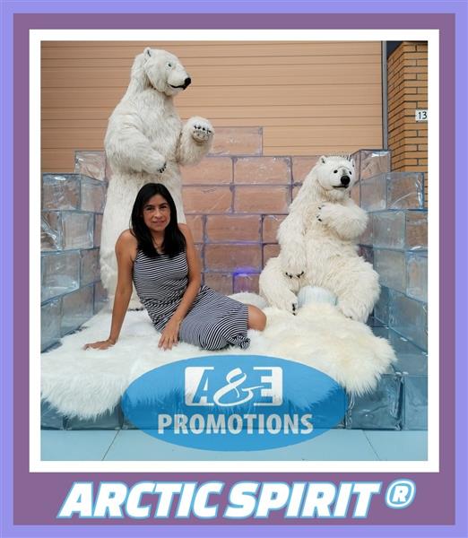 Grote foto huur frozen ijsdecoratie amstelveen diensten en vakmensen themafeestjes