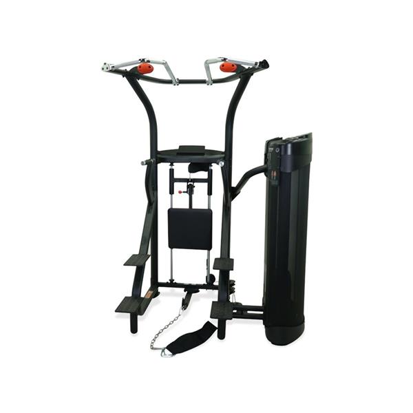 Grote foto inspire dual station chin up sport en fitness fitness