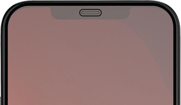 Grote foto azuri tempered glass flatt rinox armor zwart frame iphone 12 iphone 12 pro telecommunicatie mobieltjes