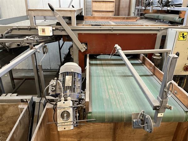 Grote foto total systems bercomex potveer 160 cm brede kistensorteerlijn voor bloembollen aardappels uien en agrarisch tuinbouw