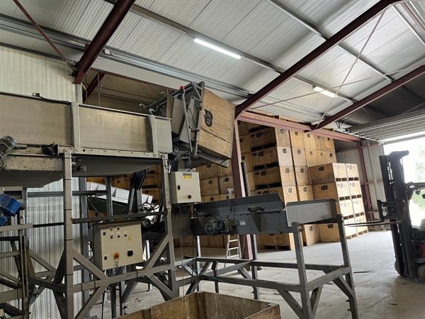 Grote foto total systems bercomex potveer 160 cm brede kistensorteerlijn voor bloembollen aardappels uien en agrarisch tuinbouw