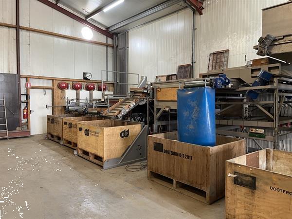 Grote foto total systems bercomex potveer 160 cm brede kistensorteerlijn voor bloembollen aardappels uien en agrarisch tuinbouw