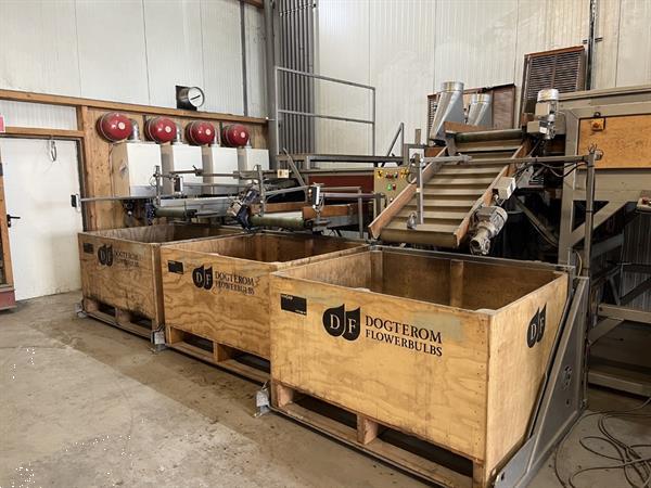 Grote foto total systems bercomex potveer 160 cm brede kistensorteerlijn voor bloembollen aardappels uien en agrarisch tuinbouw