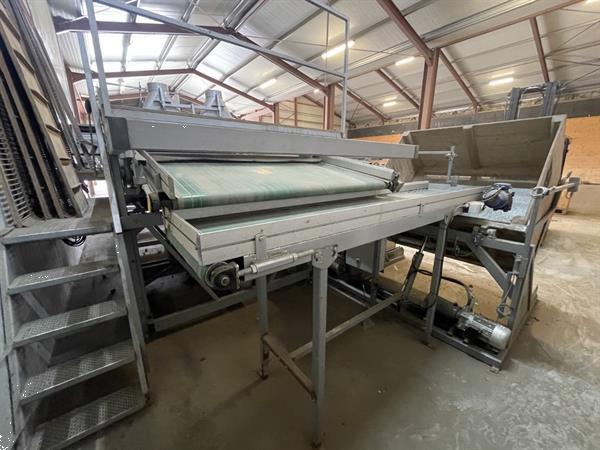 Grote foto total systems bercomex potveer 160 cm brede kistensorteerlijn voor bloembollen aardappels uien en agrarisch tuinbouw