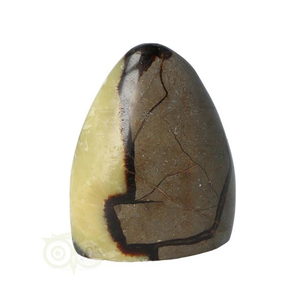Grote foto septarie sculptuur nr 14 290 gram verzamelen overige verzamelingen