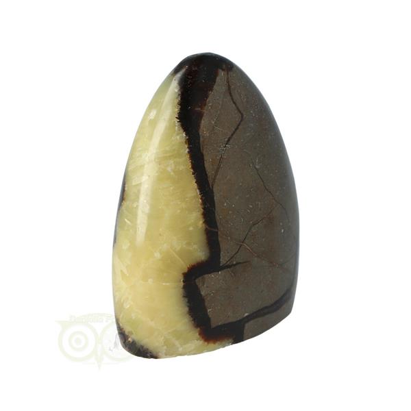 Grote foto septarie sculptuur nr 14 290 gram verzamelen overige verzamelingen