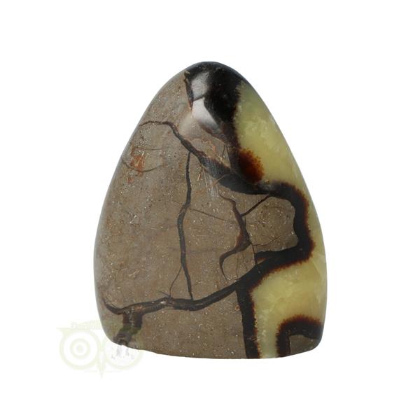 Grote foto septarie sculptuur nr 14 290 gram verzamelen overige verzamelingen