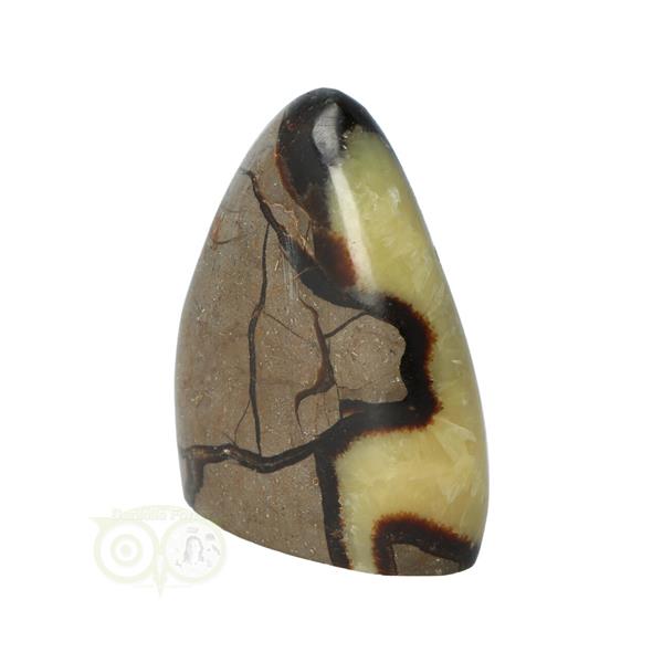 Grote foto septarie sculptuur nr 14 290 gram verzamelen overige verzamelingen