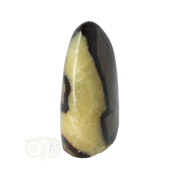 Grote foto septarie sculptuur nr 14 290 gram verzamelen overige verzamelingen