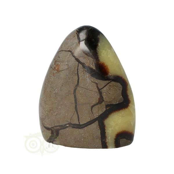 Grote foto septarie sculptuur nr 14 290 gram verzamelen overige verzamelingen