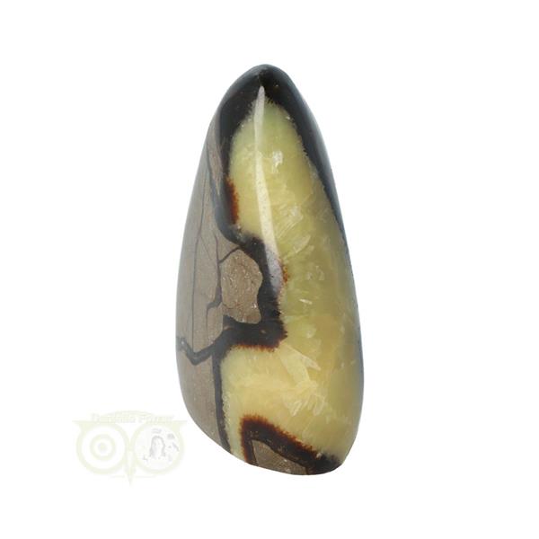 Grote foto septarie sculptuur nr 14 290 gram verzamelen overige verzamelingen