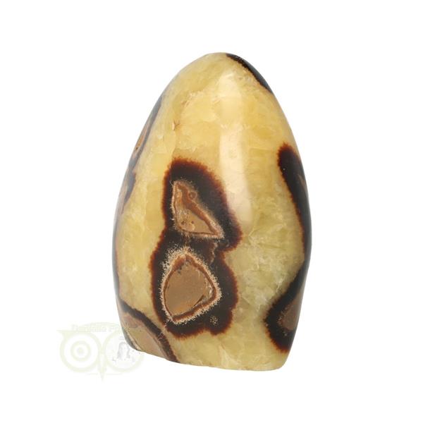 Grote foto septarie sculptuur nr 12 354 gram verzamelen overige verzamelingen