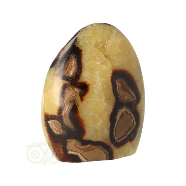 Grote foto septarie sculptuur nr 12 354 gram verzamelen overige verzamelingen