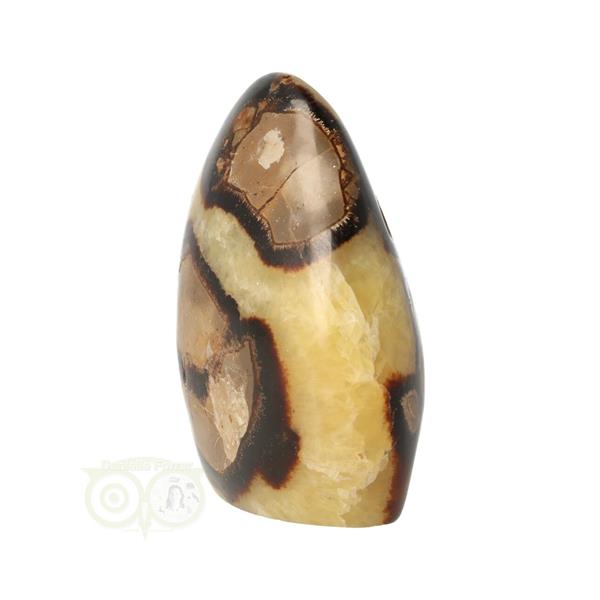 Grote foto septarie sculptuur nr 12 354 gram verzamelen overige verzamelingen