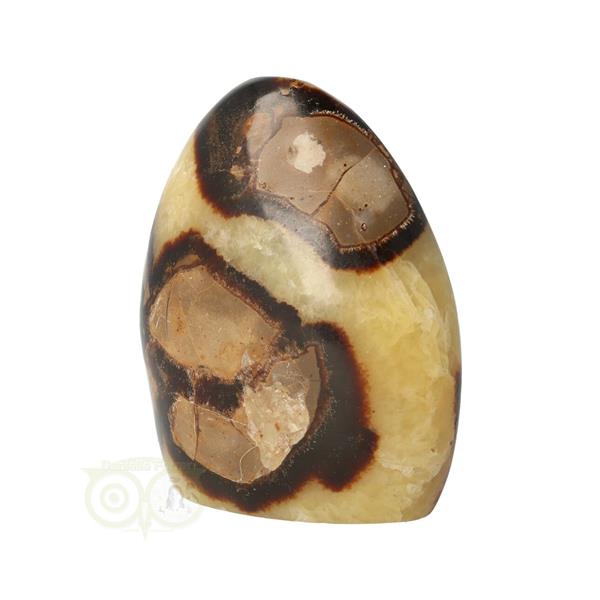 Grote foto septarie sculptuur nr 12 354 gram verzamelen overige verzamelingen