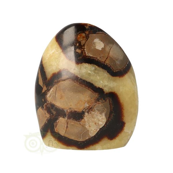 Grote foto septarie sculptuur nr 12 354 gram verzamelen overige verzamelingen
