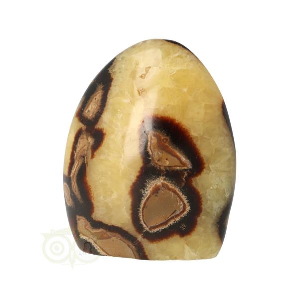 Grote foto septarie sculptuur nr 12 354 gram verzamelen overige verzamelingen