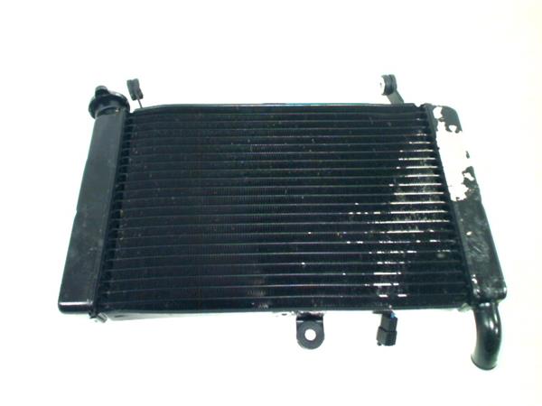 Grote foto yamaha yzf 600 thundercat 437v radiateur motoren overige accessoires