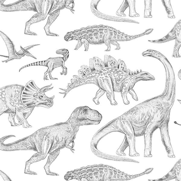Grote foto behang dino white 2 8 m rol dino white 2 8m kinderen en baby complete kinderkamers