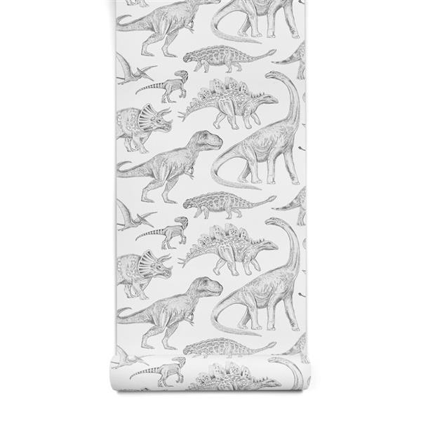 Grote foto behang dino white 2 8 m rol dino white 2 8m kinderen en baby complete kinderkamers